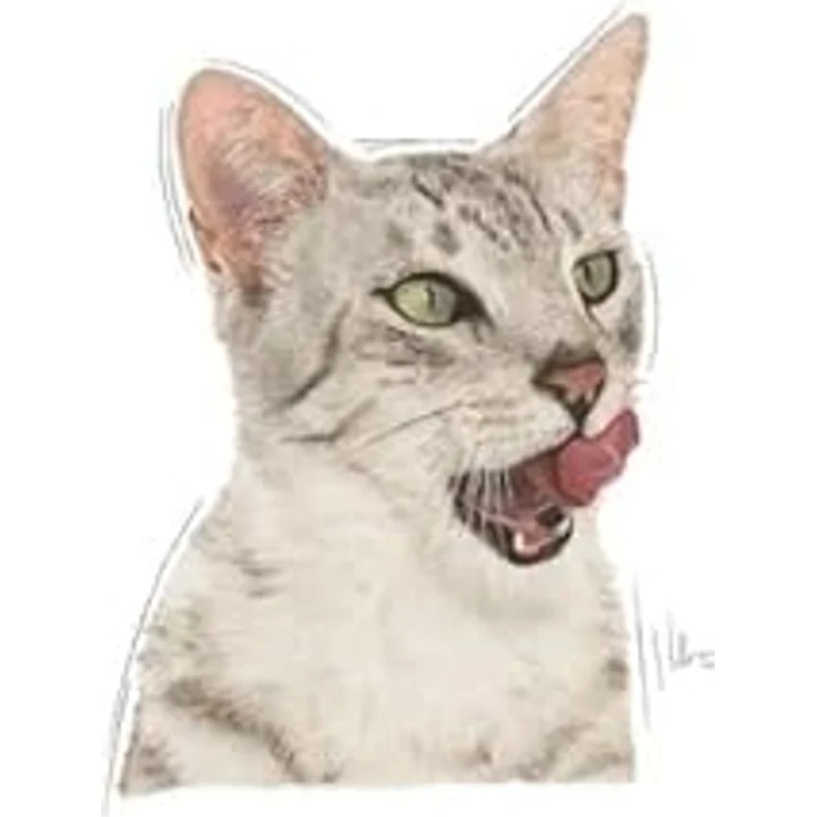 Royal Canin Sensory Taste in Soße, Katzen-Nassfutter mit Huhngeschmack und Röstaromen, 12 x 85 g – Bild 6