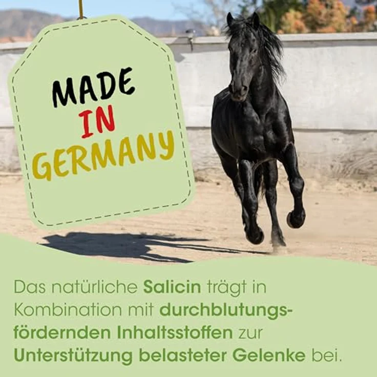 cdVet ArthroGreen Lauf-Fit 100ml, Nahrungsergänzung zur Gelenkunterstützung für Pferd, Hund und Katze mit Kräutern – Bild 5
