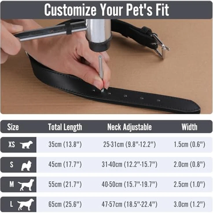Grand Line Leder Hundehalsband, verstellbares, weich gepolstertes Halsband für kleine bis große Hunde, Schwarz, Größe M – Bild 5