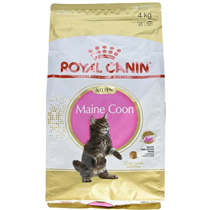Royal Canin Feline Kitten Maine Coon 36, Katzen-Trockenfutter für gesunde Entwicklung, 4 kg – Bild 1