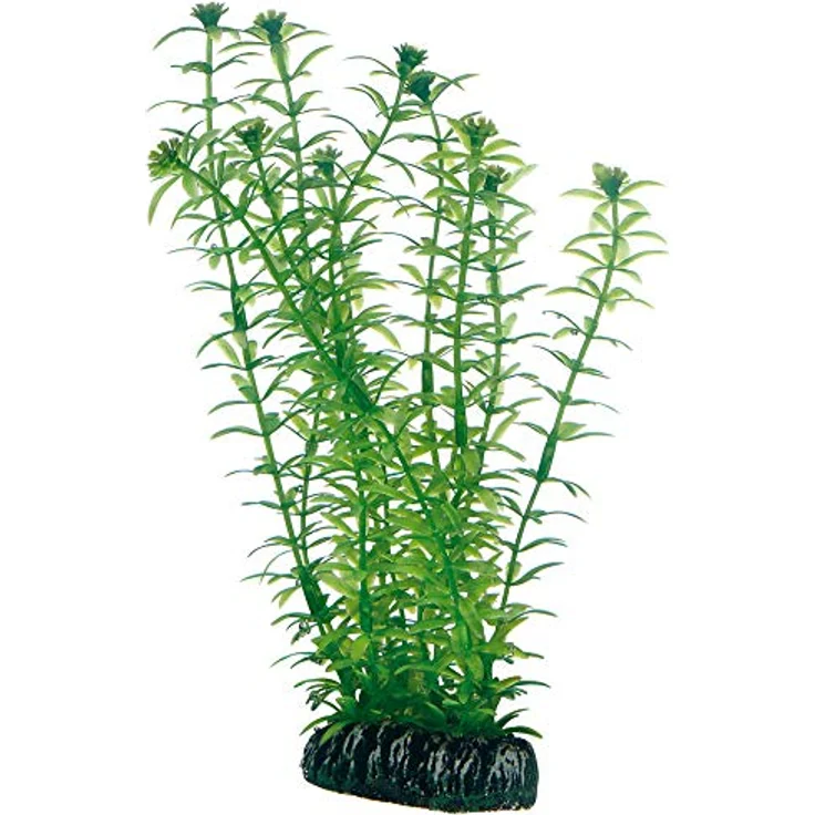 Dohse Plantasy Set 6, Aquarium Dekoration mit vielfältigen Pflanzen-Designs – Bild 5