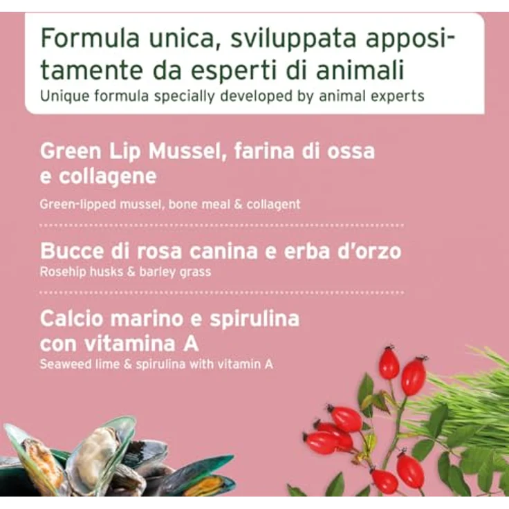 AniForte Junior Active 250 g, Hundefutter zur Unterstützung der Knochen- und Gelenkentwicklung für Welpen und junge Hunde – Bild 4