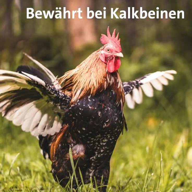 Kerbl Pfotenpflege BALLISTOL Tierpflegeöl Animal, 100 ml für empfindliche Haut und Pfotenpflege, hohe Verträglichkeit – Bild 9