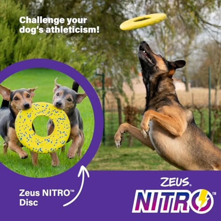 Zeus Nitro Flying Disc, Ø24cm, FDA-zugelassen, spülmaschinengeeignet, flexibel und robust für Hunde und Welpen – Bild 4