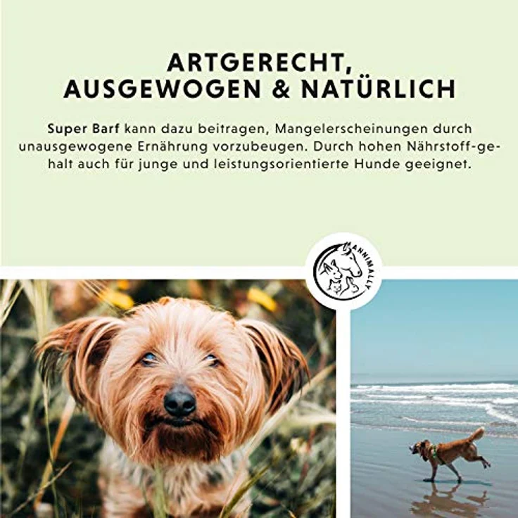Annimally Super Barf Complete, 1 kg Barf Zusatz Pulver für Hunde mit Vitaminen, Mineralien und natürlichen Inhaltsstoffen, ideal für alle Altersstufen – Bild 3