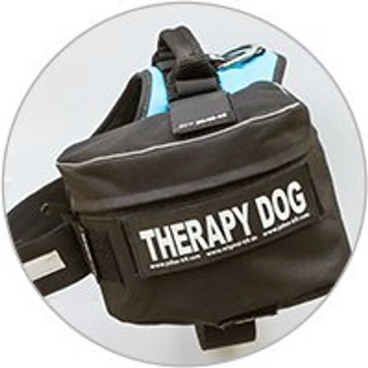Julius-K9® Powergeschirr Gr. 0 bis XXL schwarz Gr. 1 (L) – Bild 9