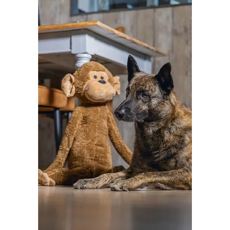 Beeztees Hundespielzeug Plüsch Affe Vik, Hundespielzeug ohne Squeeker, erhältlich in 2 Größen – Bild 4