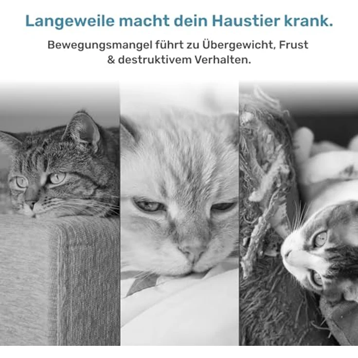 PetTec Interaktive Katzenspielzeuge, 2er-Set mit wiederaufladbaren Bällen zur Förderung des Jagdtriebs – Bild 6
