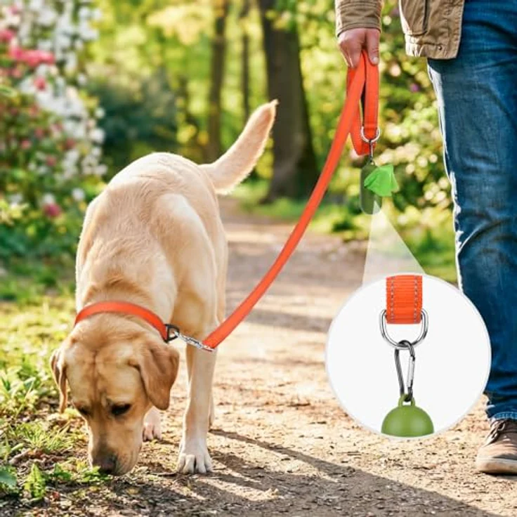 Joytale Hundeleine für große und mittelgroße Hunde, doppelseitig reflektierende Nylonleine mit gepolstertem Griff, 1,8m x 2,5cm, orange – Bild 2