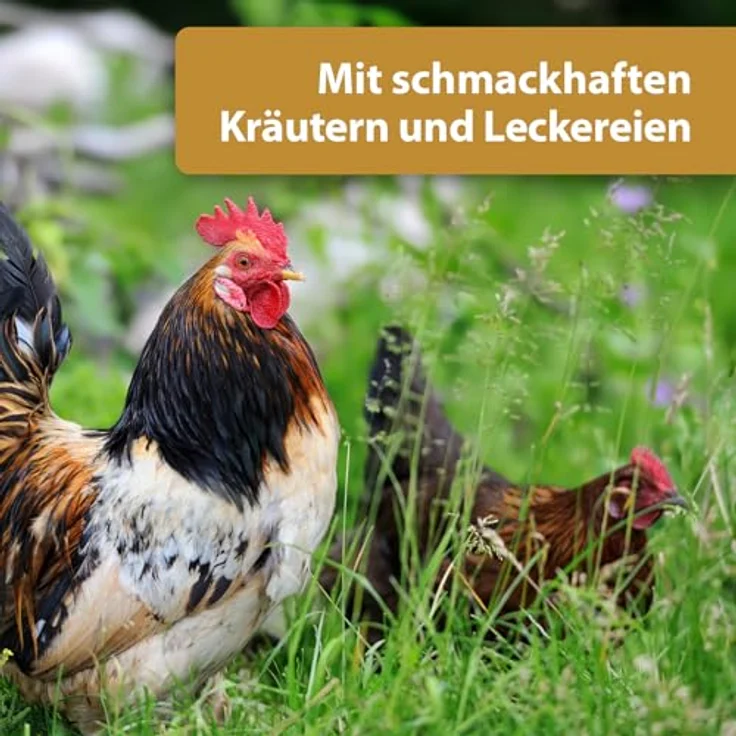 Quiko Hobby Farming Fitness Kräuter Ball für Hühner, 4x 100g, Bunter Fitness Ball aus schmackhaften Kräutern und Leckereien, Hühner Beschäftigungsspielzeug – Bild 5