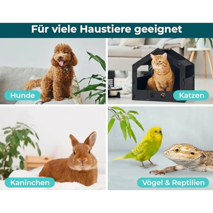 The Home Pet Lab Giardien Schnelltest für Hund & Katze, Laborgeprüft, 10 Tests, einfache Anwendung mit Anleitung in Deutsch und Englisch – Bild 5