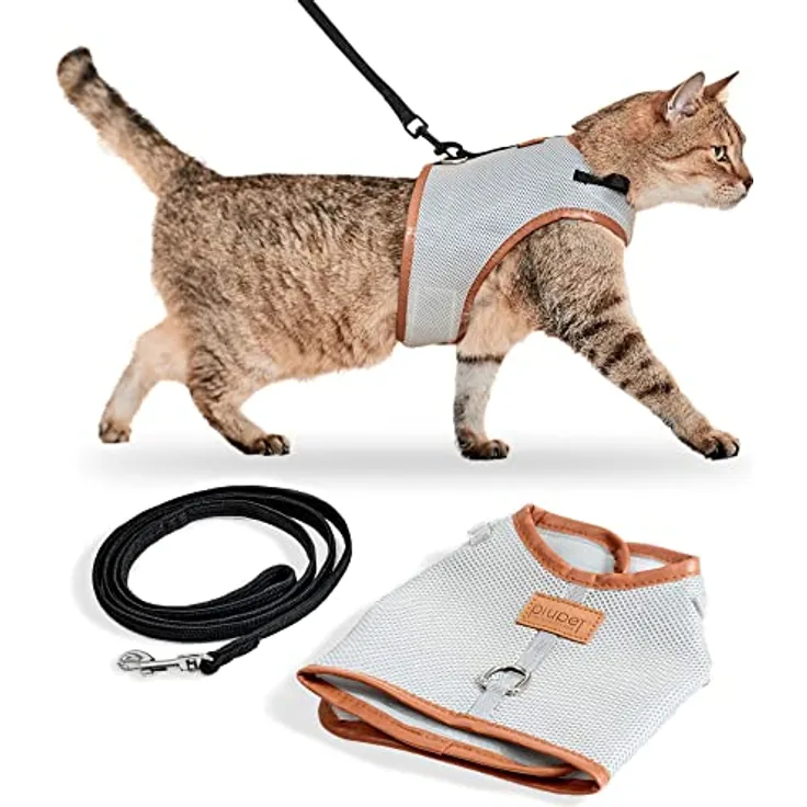 PiuPet Katzengeschirr und Leine (M), Ausbruchsicheres Geschirr für Kätzchen und kleine Hunde, 1,2 m, grau