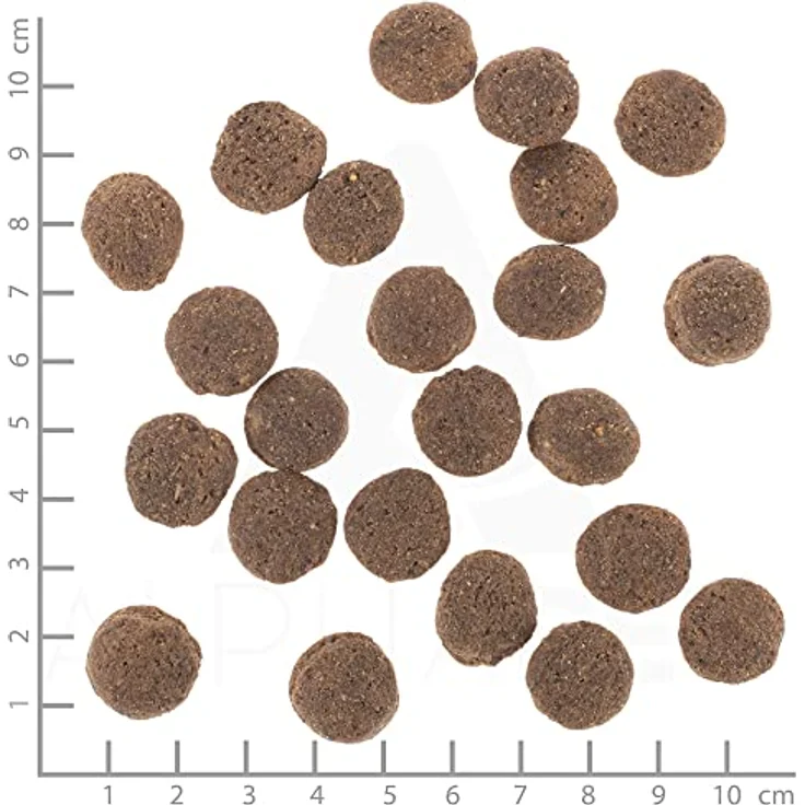 Wolfsblut VetLine Hypoallergenic, Hunde-Trockenfutter für sensible Hunde, mit Pferd und ohne Getreide, 2kg – Bild 3