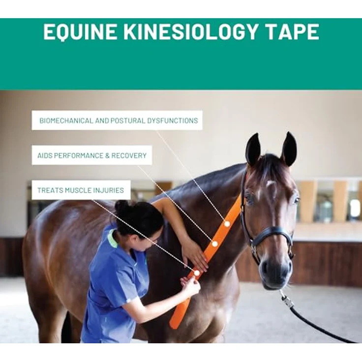 VETKIN VetkinTape Kinesiologie Tape für Tiere, 10cm x 5m, latexfrei, starke Acryl-Klebeschicht, Orange, für Pferde und Hunde – Bild 4