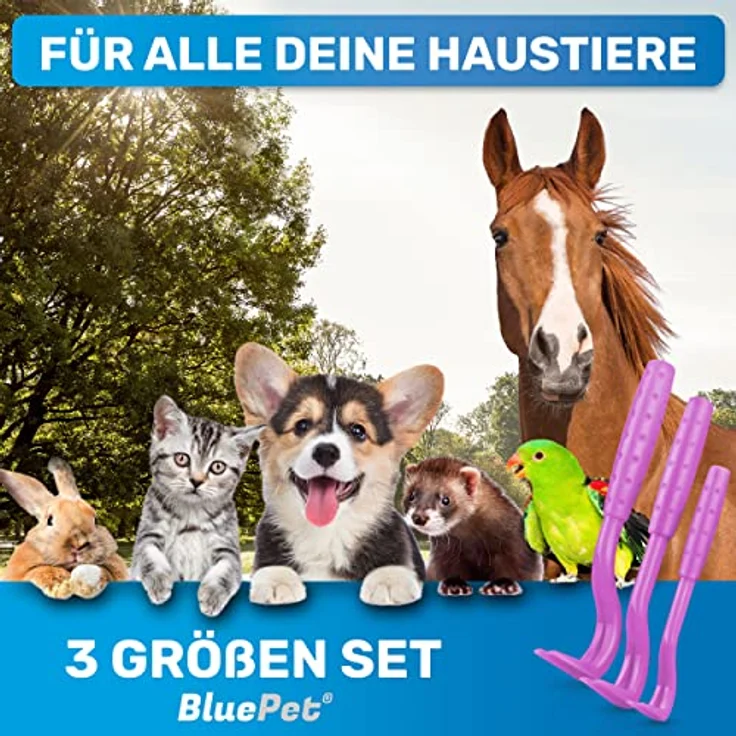 BluePet 3er Set Zeckenhaken, Zeckenentferner für Hunde, Katzen, Pferde & Menschen, präzise und sichere Anwendung, ideal für Outdoor-Aktivitäten – Bild 2