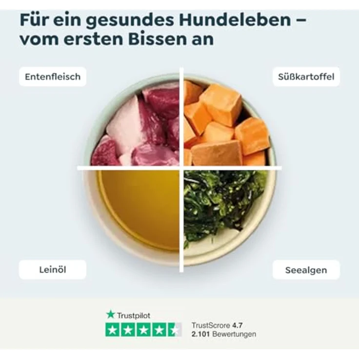 WOW Senior Ente, Hunde-Nassfutter mit frischem Ente und Gemüse, 6 x 800 g – Bild 4