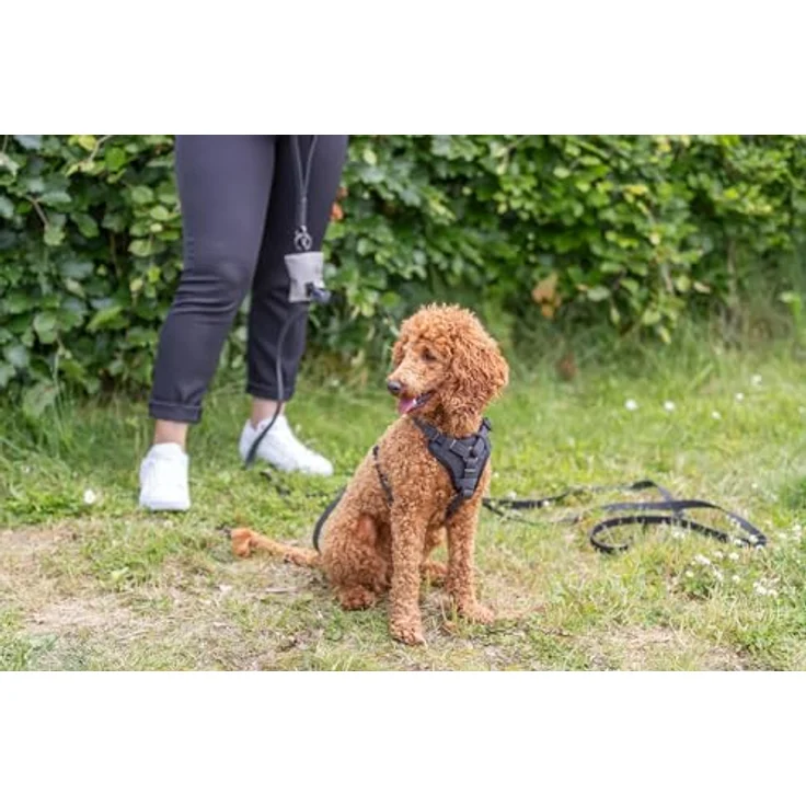 TRIXIE Schleppleine CityStyle Schleppleine schwarz mit Öse zur Befestigung der Hundemarke – Bild 4