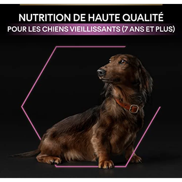 PRO PLAN Adult Small & Mini Age Defence 9+ Huhn, Hundefutter für kleine bis sehr kleine Rassen, 7 kg, unterstützt Gehirnfunktion und Zahnpflege – Bild 8