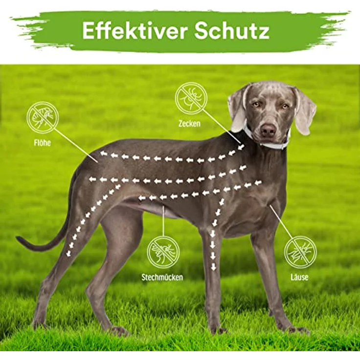 MC-Royal® Premium Zeckenhalsband für Hunde, wasserdicht und verstellbar, 70 cm, bis zu 8 Monate Zeckenschutz mit 100% natürlichen Inhaltsstoffen – Bild 3