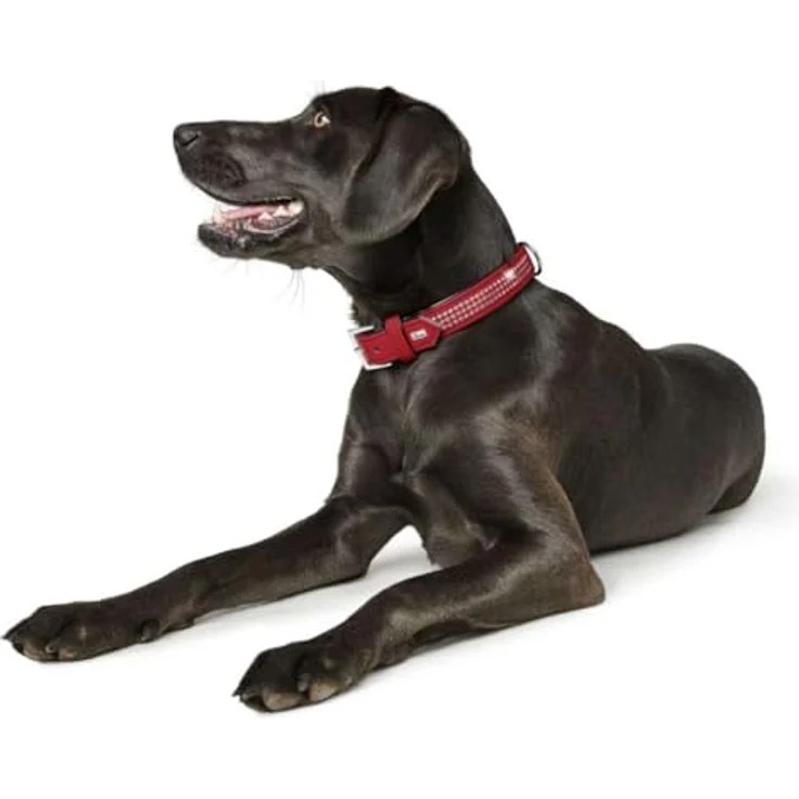 Hunter Hunde-Halsband Softie Triluxe rot-schwarz S-M – Bild 4