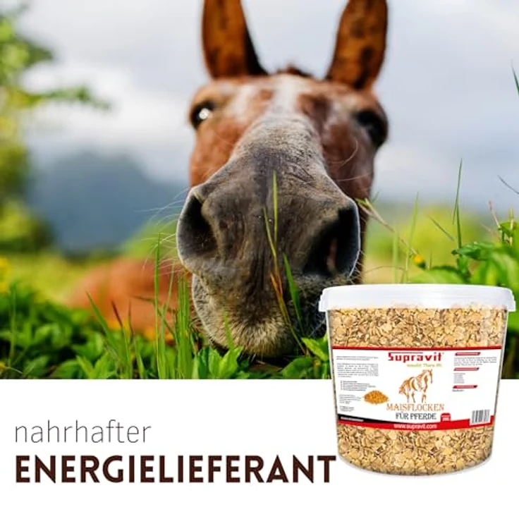 Supravit Maisflocken für Pferde, 2kg Eimer, naturrhein, energiereiches Ergänzungsfutter für schnelle Gewichtszunahme – Bild 4