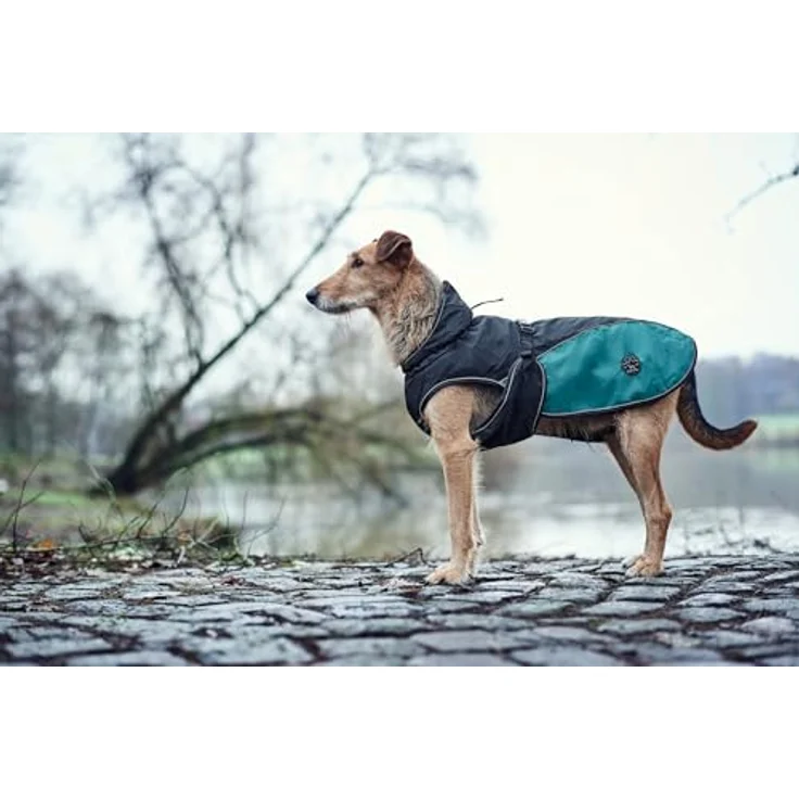 Hunter Hunde-Mantel Uppsala Allrounder anthrazit-petrol 40 cm – Bild 7