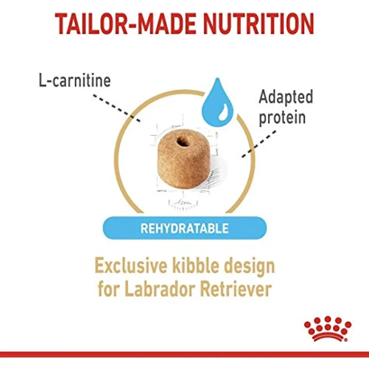 ROYAL CANIN Labrador Retriever Adult 5+, Trockenfutter für Hunde, 12 kg – Bild 4
