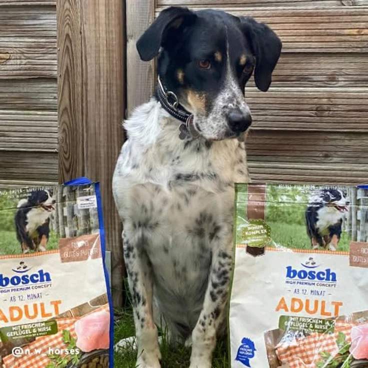 bosch HPC Mini Adult, Hundetrockenfutter mit frischem Geflügel & Hirse, glutenfrei, für kleine Rassen (bis 15 kg), 1 x 1 kg – Bild 5