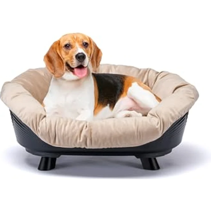 Ferplast Sofa' Throne Hundebett & Katzenbett, waschbar, atmungsaktiv & rutschfest, erhöhtes Design, 73 x 55 x h 32 cm, Schwarz – Bild 1