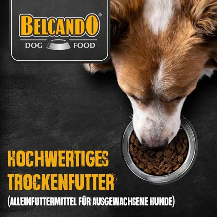 BELCANDO MASTERCRAFT Hundefutter trocken Fresh Turkey, 2,2kg, 80% frisches Truthahnfleisch, getreidefrei, für alle Rassen, Made in Germany – Bild 3
