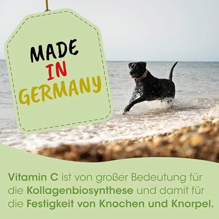 cdVet ArthroGreen plus, Ergänzungsfuttermittel für gelenkempfindliche Hunde und Katzen mit neuseeländischer Grünlippmuschel und Hagebutte, 75 g – Bild 4