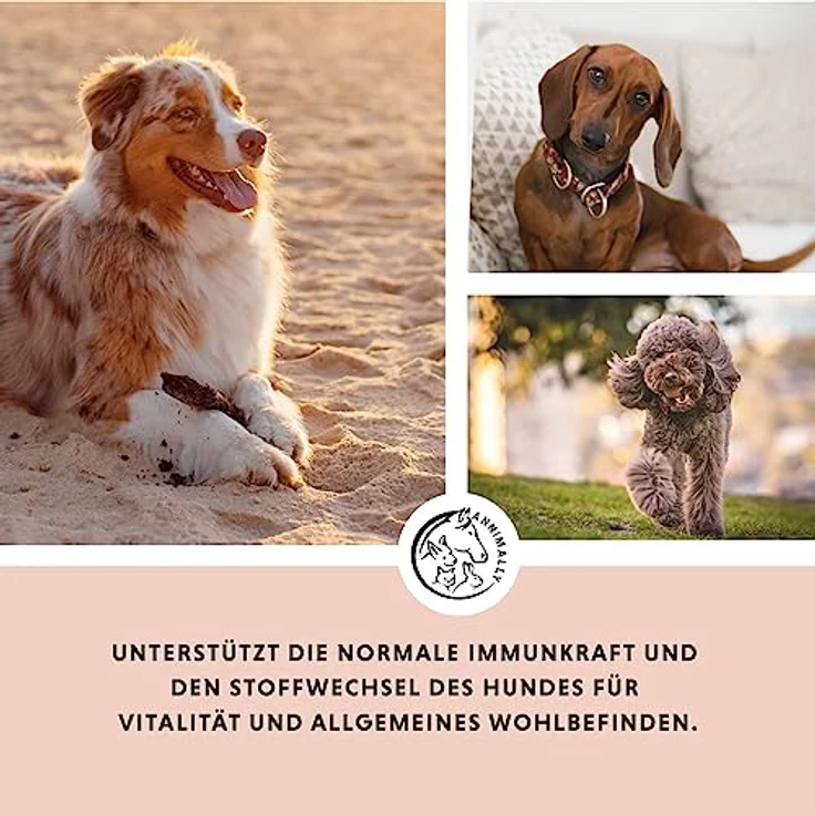 Annimally Multivitamin Komplex Pulver für Hunde, 200g mit Gerstengras, Spirulina und Bierhefe, über 17 natürliche Vitamine & Mineralien – Bild 2