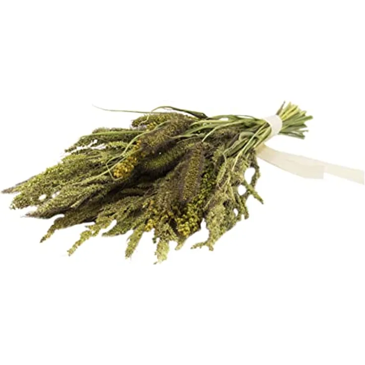 JR FARM Birds Hirsen-Potpourri, 50 g natürliche Nahrungsergänzung für Vögel mit sonnengereiften Saaten, made in Germany