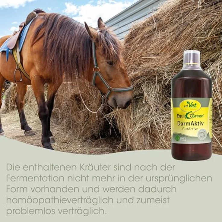 cdVet EquiGreen DarmAktiv, Ergänzungsfuttermittel für Pferde zur Unterstützung der Darmflora, 1 l, fermentiert, zuckerfrei, milchfrei – Bild 7