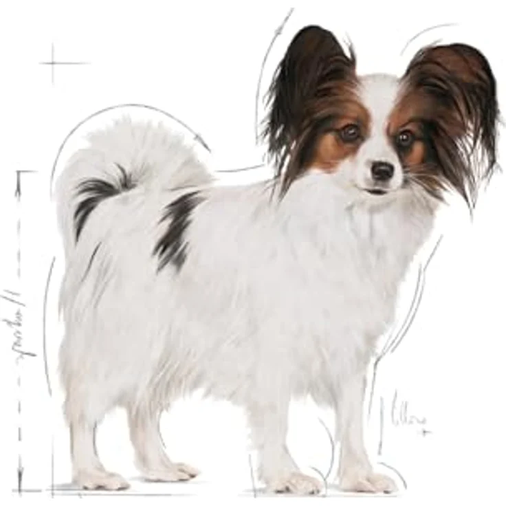 ROYAL CANIN X-Small Adult Hundefutter, 1,5 kg, nährstoffreiche Rezeptur für sehr kleine Hunde bis 4 kg – Bild 3