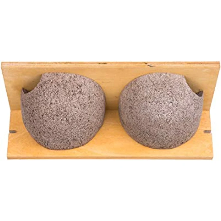 Bigdean - 3x Schwalbennistkasten Doppelnest Schwalbennest Mehlschwalbennest Nistkasten Nisthilfe Schwalben Holzbeton – Bild 5