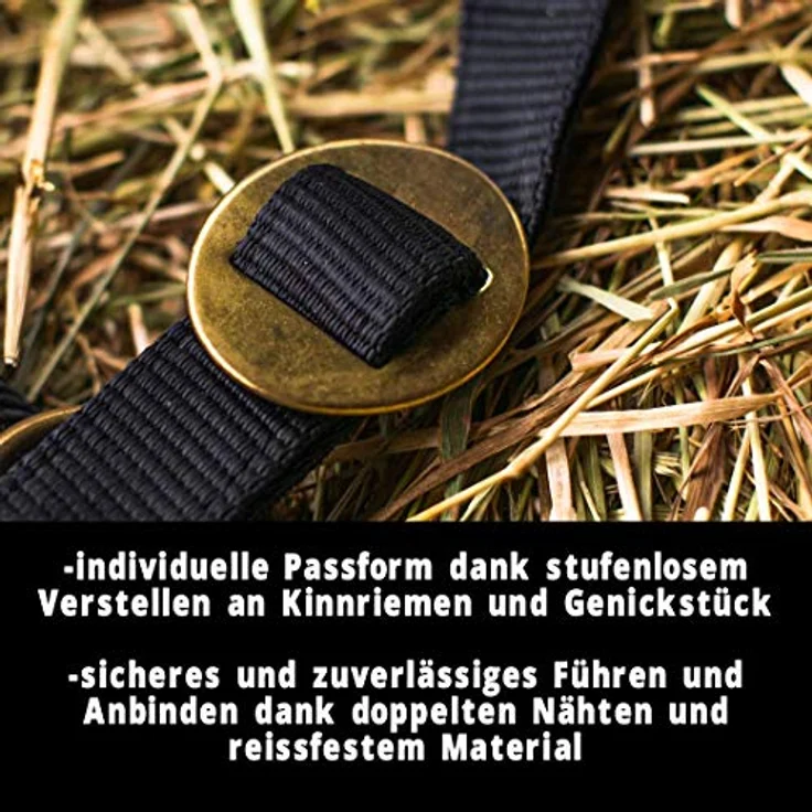 Pferdelinis Halfter für Pferd Warmblut, Vollblut, Kaltblut – reißfestes Stall- und Weidehalfter, 2-fach verstellbar, Schwarz (Vollblut, Cob) – Bild 2
