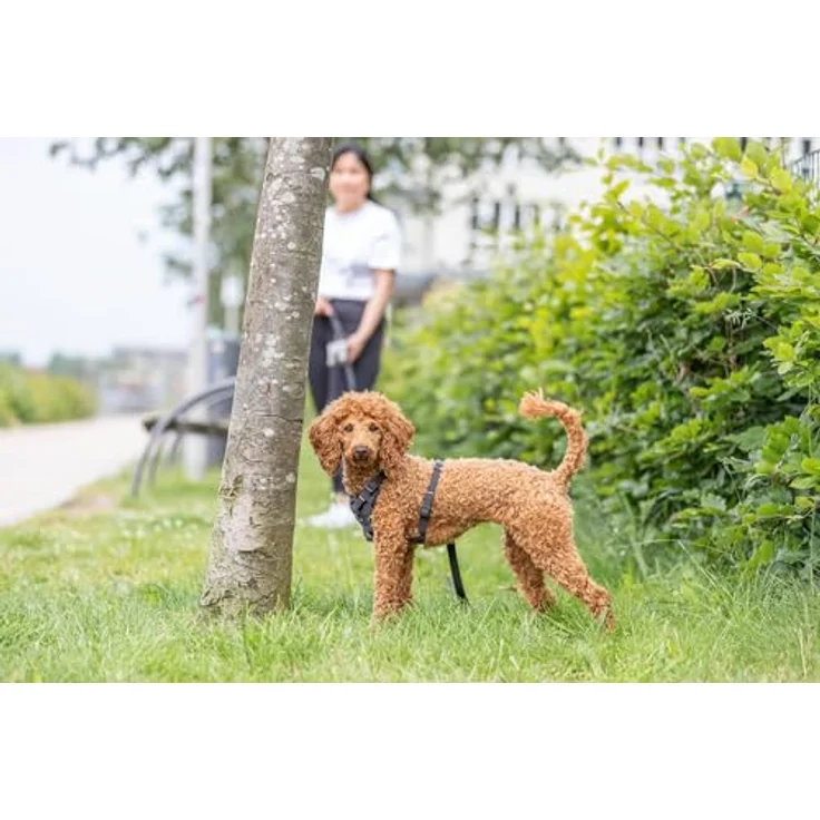 TRIXIE Schleppleine CityStyle Schleppleine schwarz mit Öse zur Befestigung der Hundemarke – Bild 5