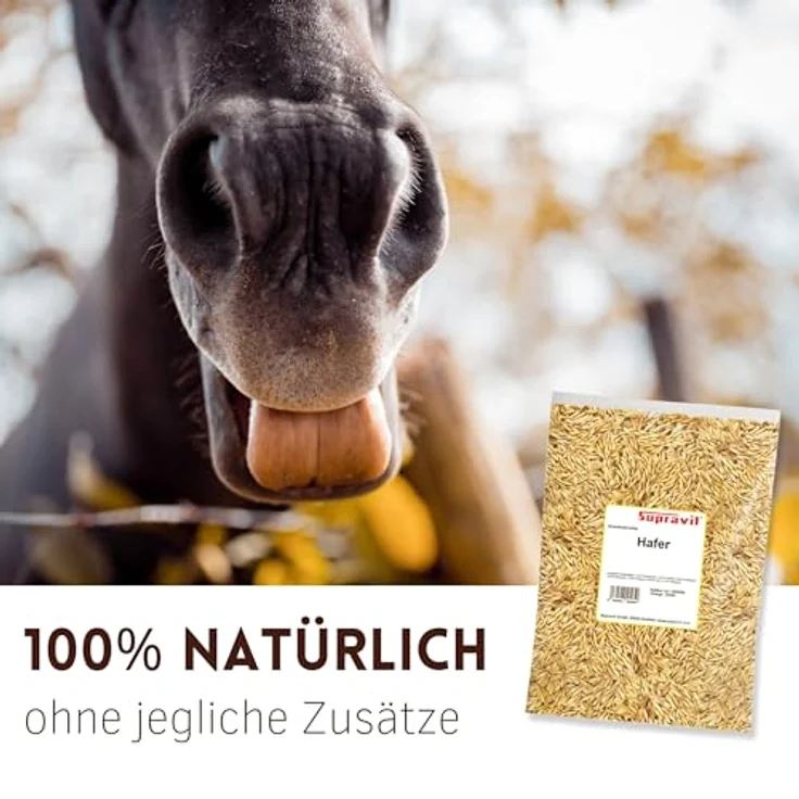Supravit Hafer ganz 5kg, ungeschält und staubfrei, frischer gelber Futterhafer für Pferd und Pony, natürlicher Energielieferant – Bild 4
