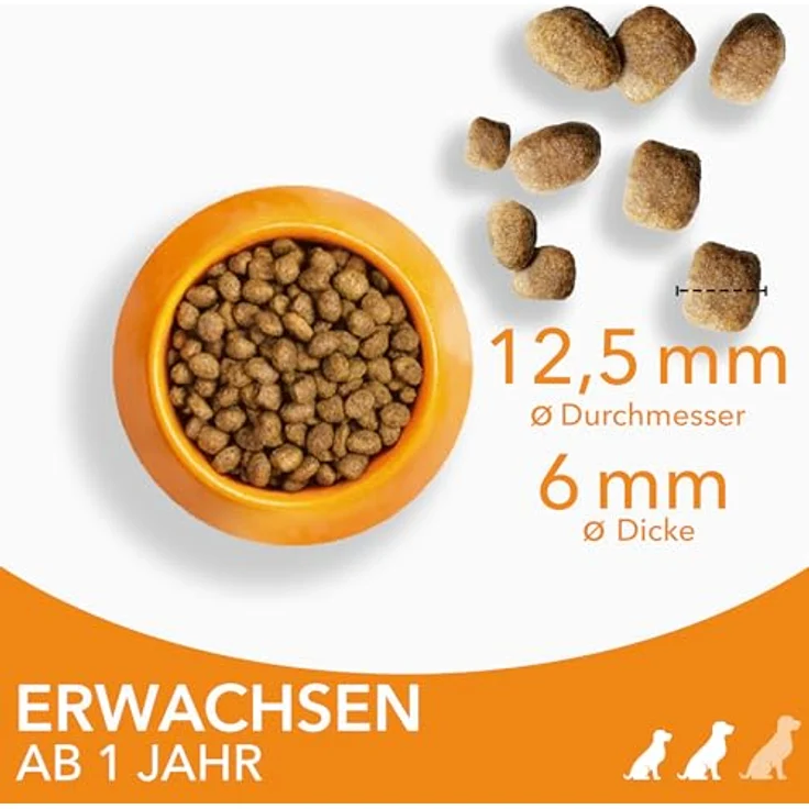 IAMS Hundefutter trocken mit Huhn, Trockenfutter für kleine & mittelgroße Hunde ab 1 Jahr, 82% tierisches Protein, 12 kg – Bild 2