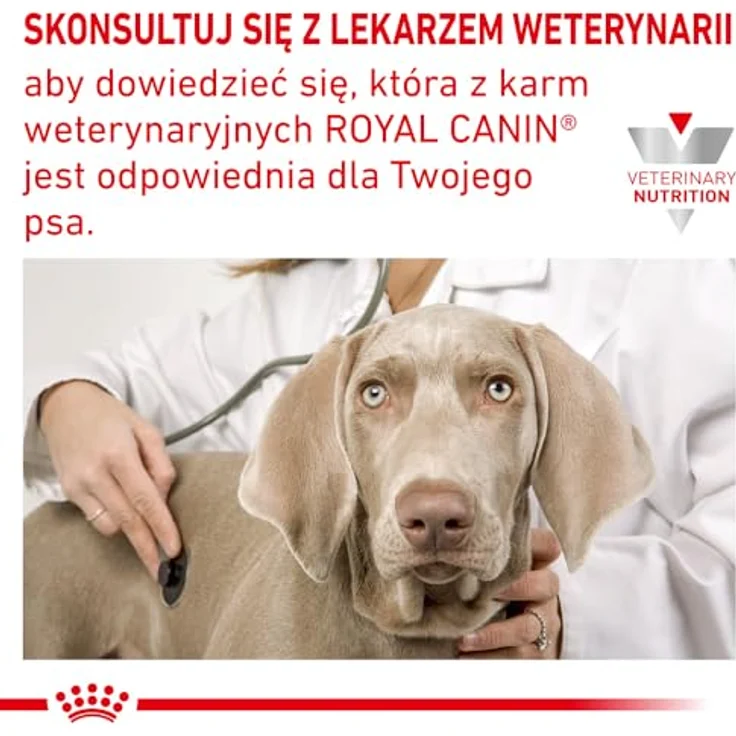 Royal Canin Veterinary Anallergenic, Hundefutter für Nährstoffintoleranzen, 8 kg, hochgradig hydrolysiertes Protein – Bild 7