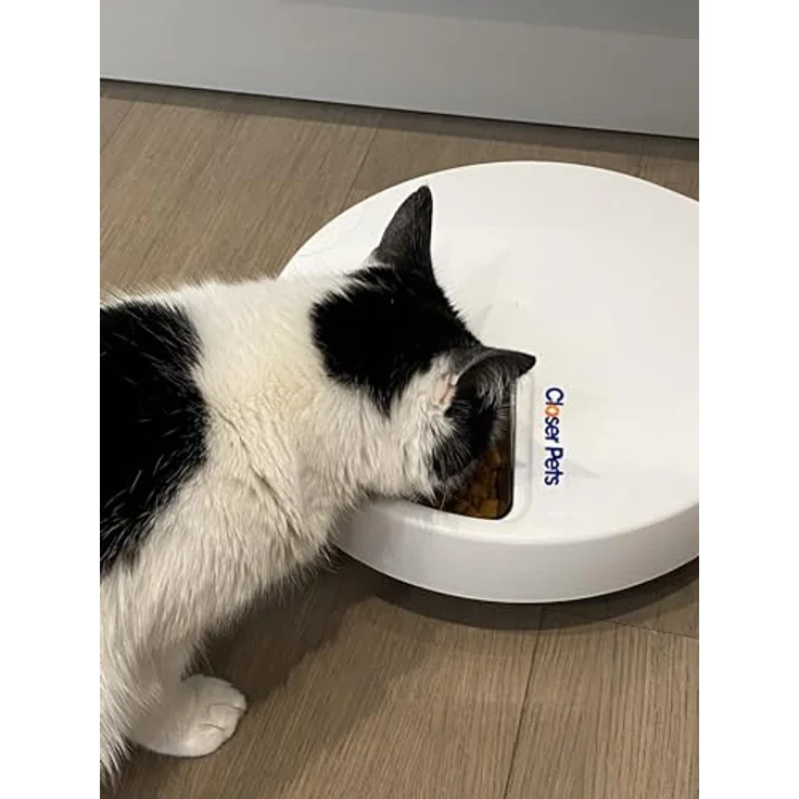 Closer Pets C500 Futterautomat mit digitalem Timer, 5 Edelstahlnäpfen für Katzen und kleine Hunde, 5 Mahlzeiten bis 330 g, inklusive 2 Kühlakkus, Weiß – Bild 4