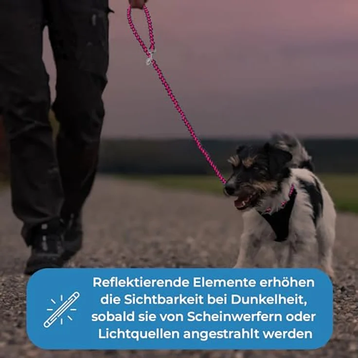 Golden Pets Hundeleine, reflektierend, 2m verstellbar, wetterfest & reißfest bis 250 kg, Paracord Führleine für kleine - große Hunde – Bild 5