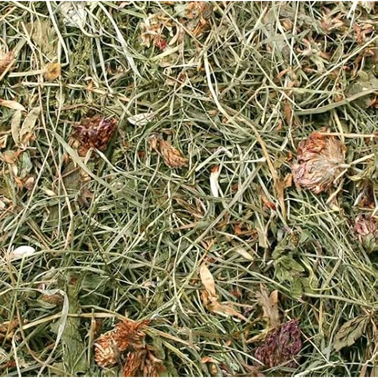 JR Farm Kleewiese 500 g, Kleintierfutter mit Rotklee, unterstützt Zahnabrieb und Vitalfunktionen, naturbelassen, made in Germany – Bild 2