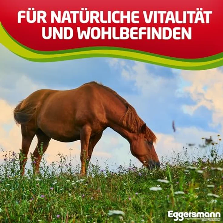 Eggersmann Mein Pferdefutter Profi Knoblauch Plus 1 kg – Ergänzungsfuttermittel gegen Fliegen, Bremsen & Stechmücken – Unterstützt Stoffwechsel & Immunabwehr – Bild 4