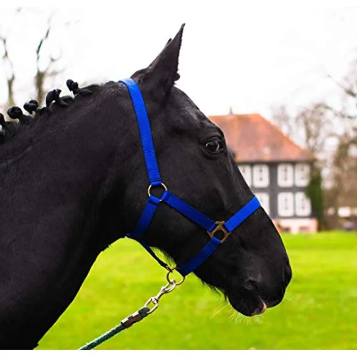 Pferdelinis Halfter für Pferd Warmblut, Vollblut, Kaltblut – Reißfestes Stall- und Weidehalfter, 2-fach verstellbar in Royalblau (Vollblut, Cob)