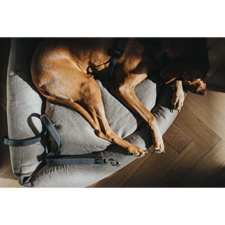 Hunter Hunde-Leine verstellbar Divo & Maldon 20-200 – Bild 4