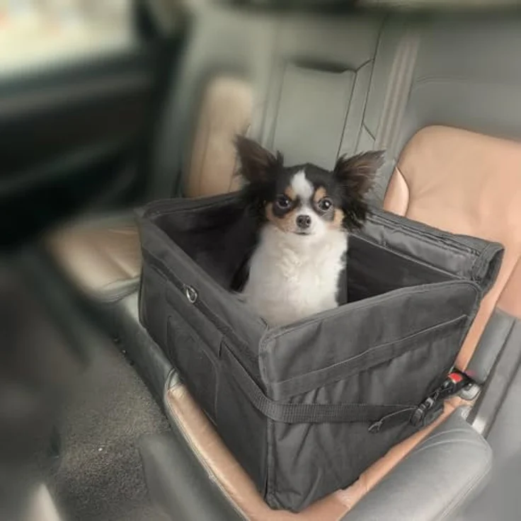 Duvo+ 2 in 1 Automand Isofix schwarz - Hunde-Transportboxen – Bild 1