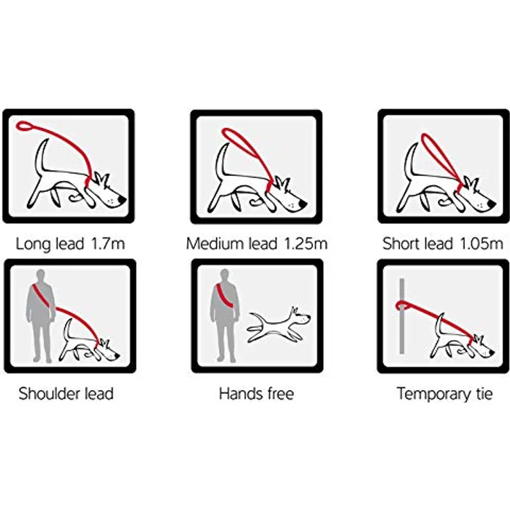 Red Dingo Hundeleine Lila, 2 x 200 cm, Halsband + Leine für Hunde – Bild 3