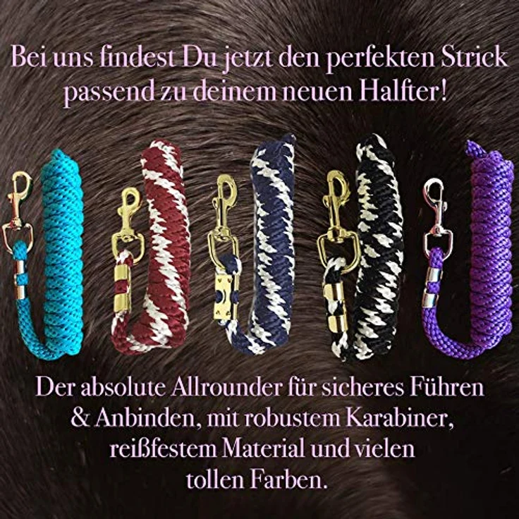 Pferdelinis Halfter für Pferd Kaltblut, 2-fach verstellbar, reißfest, dunkelblau, für Stall und Weide – Bild 5